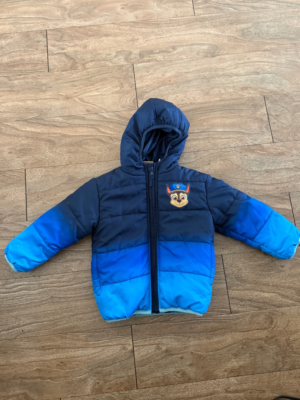 Nickelodeon Blue Gradient Boys Puffer Jacket with Hood